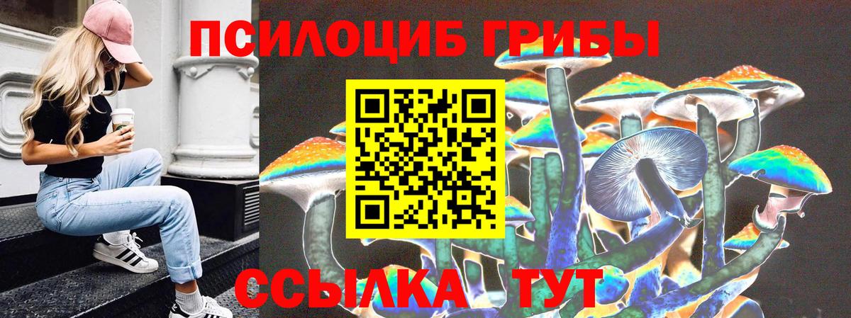 Псилоцибиновые грибы Psilocybine cubensis  Вход с VPN  Каменск-Уральский 